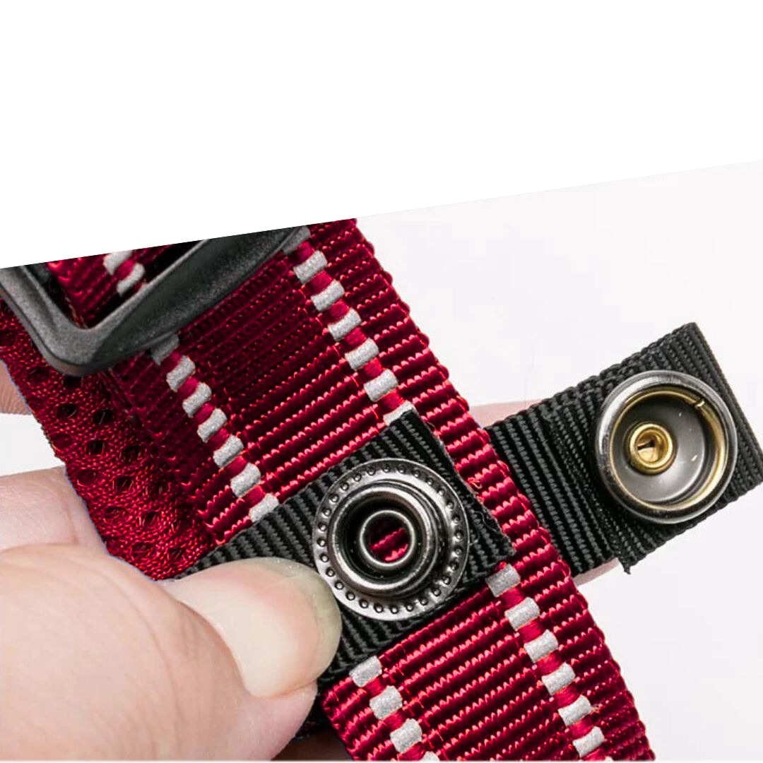 Justerbart Hundhalsband med Reflex – Bekvämt och Säkert för Alla Raser