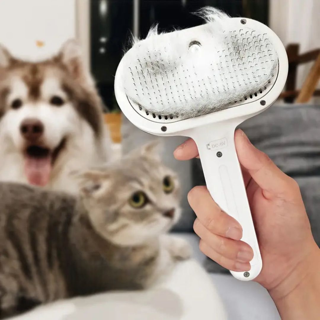 Ångborste för Hund & Katt – Skonsam & Effektiv Pälsvård