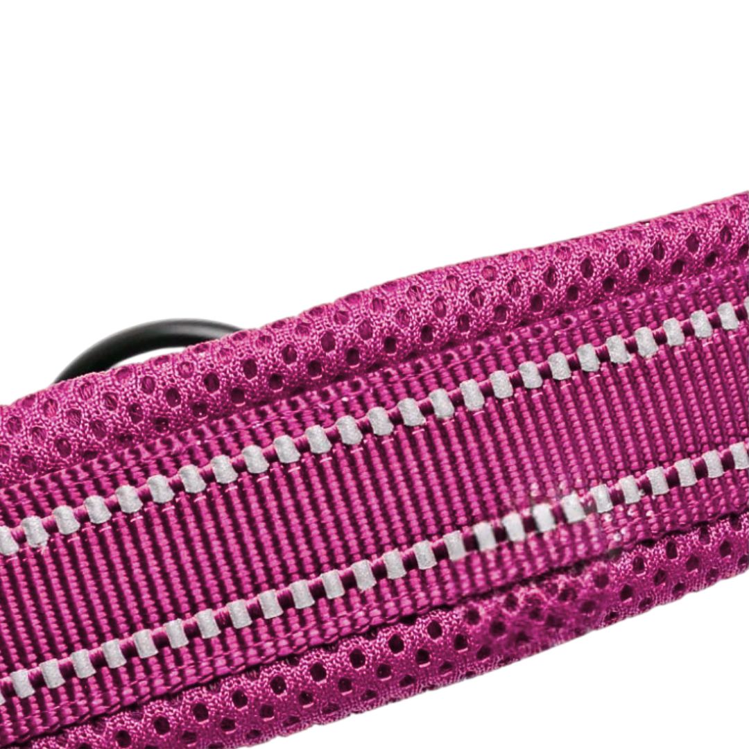 Justerbart Hundhalsband med Reflex – Bekvämt och Säkert för Alla Raser