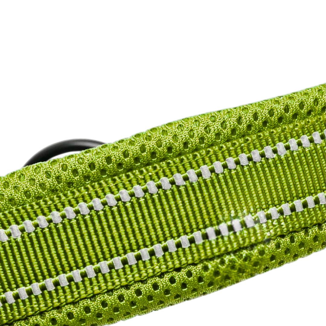 Justerbart Hundhalsband med Reflex – Bekvämt och Säkert för Alla Raser