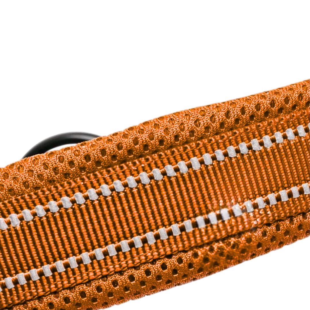 Justerbart Hundhalsband med Reflex – Bekvämt och Säkert för Alla Raser