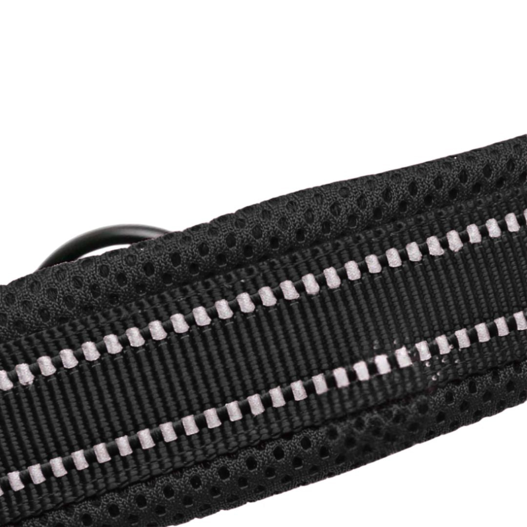 Justerbart Hundhalsband med Reflex – Bekvämt och Säkert för Alla Raser