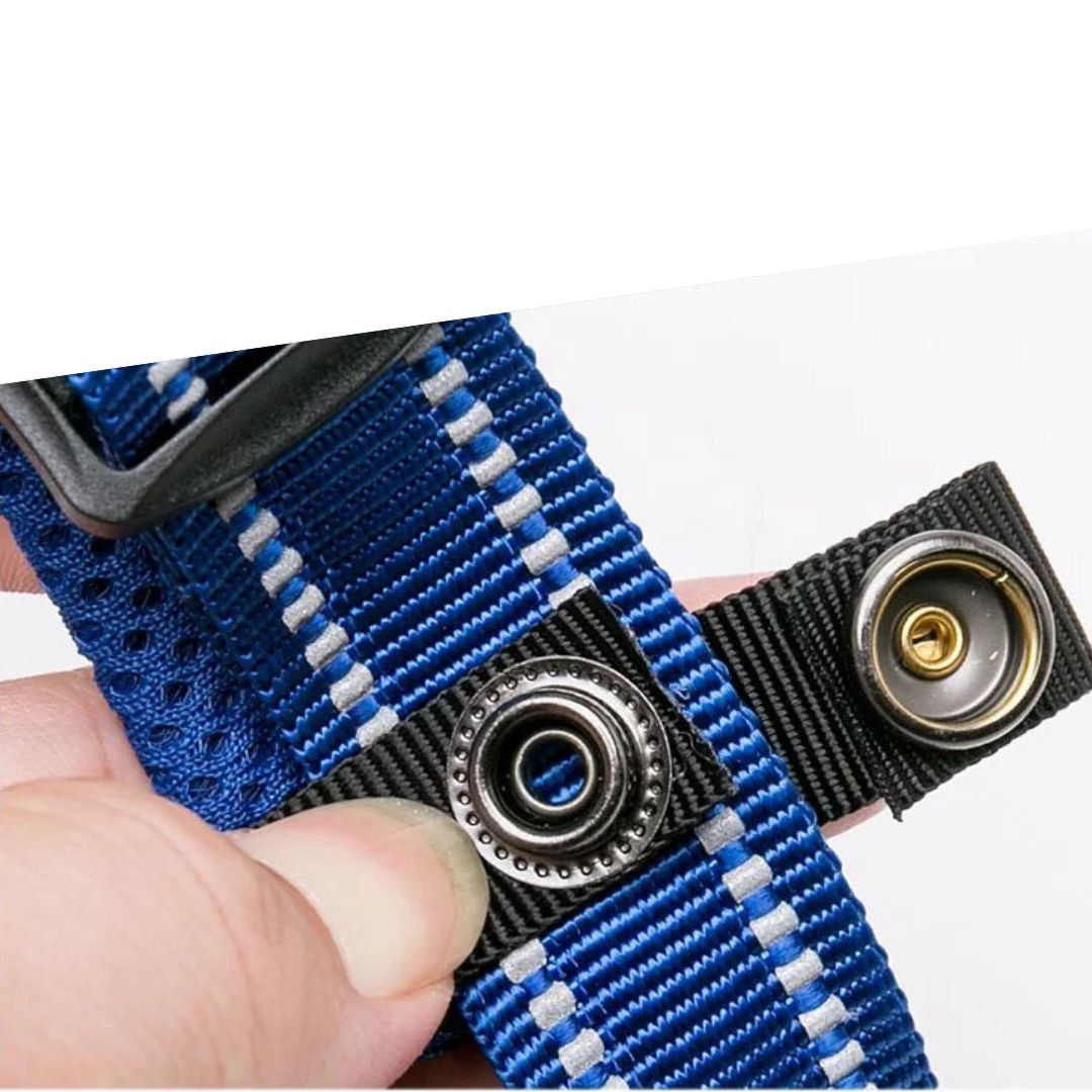 Justerbart Hundhalsband med Reflex – Bekvämt och Säkert för Alla Raser