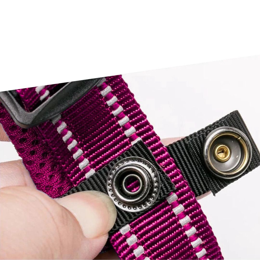 Justerbart Hundhalsband med Reflex – Bekvämt och Säkert för Alla Raser