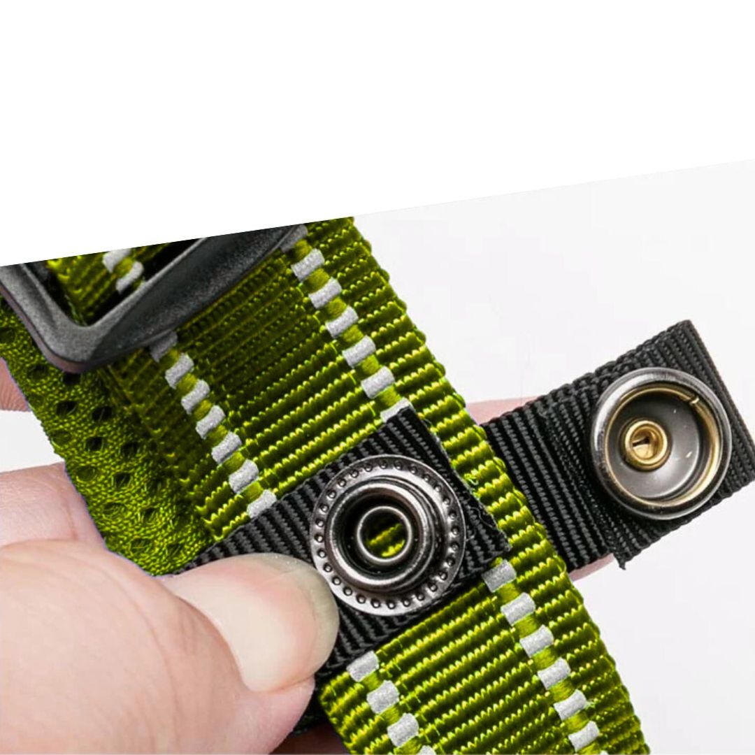 Justerbart Hundhalsband med Reflex – Bekvämt och Säkert för Alla Raser