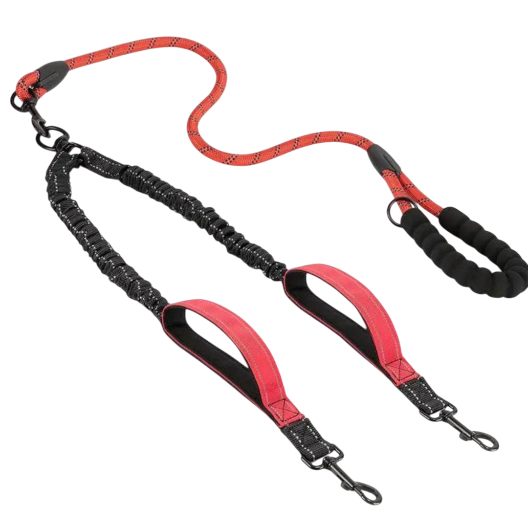 Reflekterande Dubbelkoppel för Hund – Elastiskt, Justerbart med Påshållare