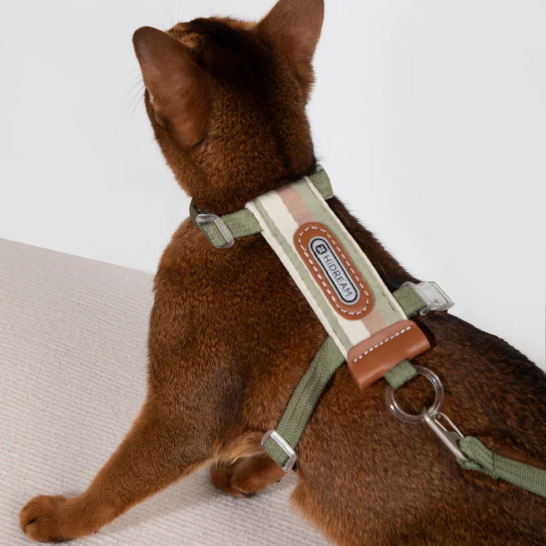 Rymningssäker Kattsele med Justerbara Remmar och Reflexer, One Size - Upp till 8 kg