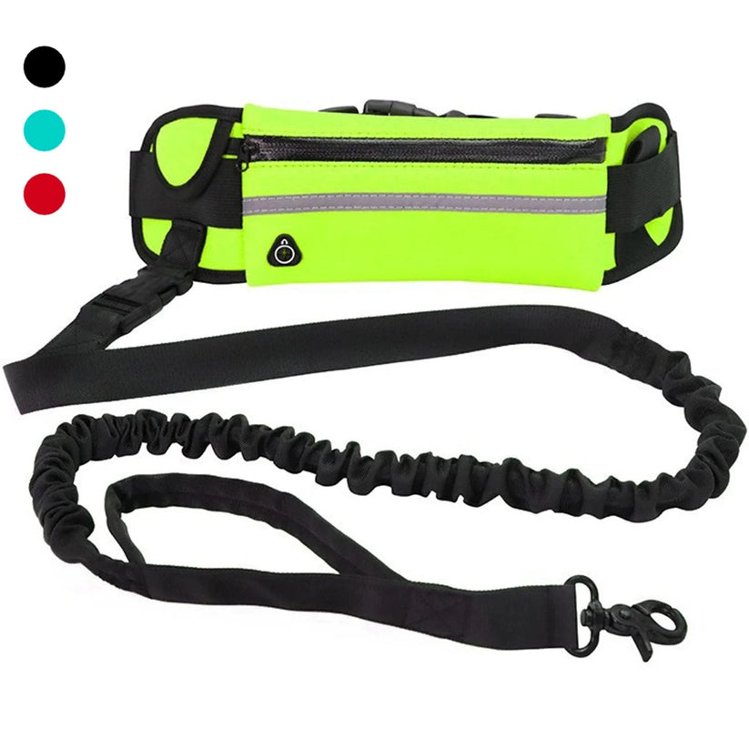 Flexibelt hundkoppel med midjeväska – justerbar och reflexdetaljer