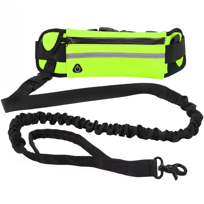 Flexibelt hundkoppel med midjeväska – justerbar och reflexdetaljer