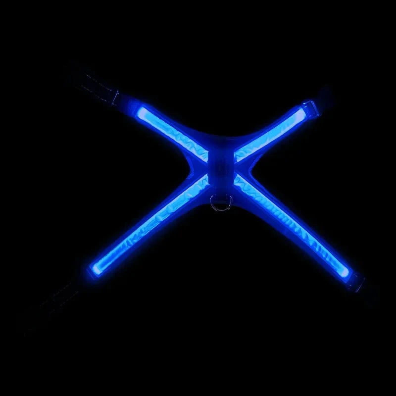LED Hundsele med Reflexer - Justerbar & Ladddningsbar, One Size