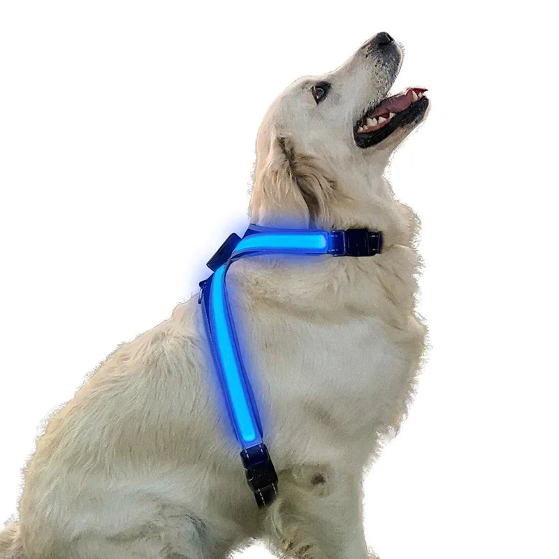 LED Hundsele med Reflexer - Justerbar & Ladddningsbar, One Size
