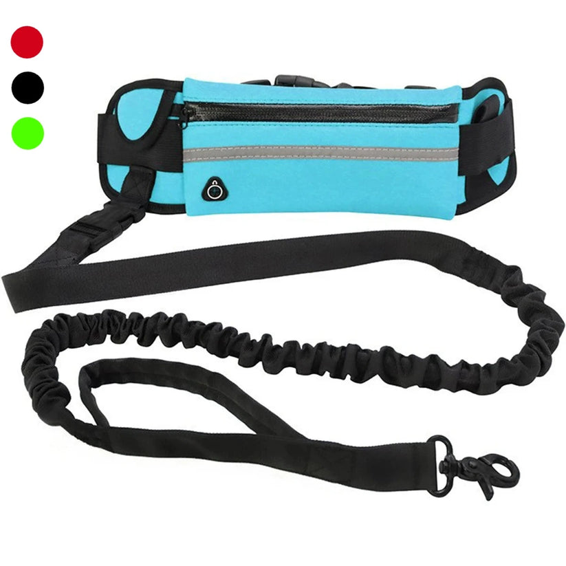 Flexibelt hundkoppel med midjeväska – justerbar och reflexdetaljer