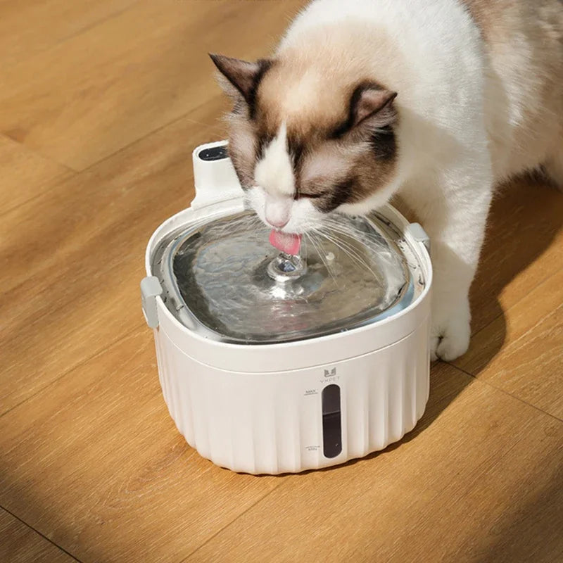 Sladdlös Vattenfontän – Friskt vatten för din katt eller lilla hund