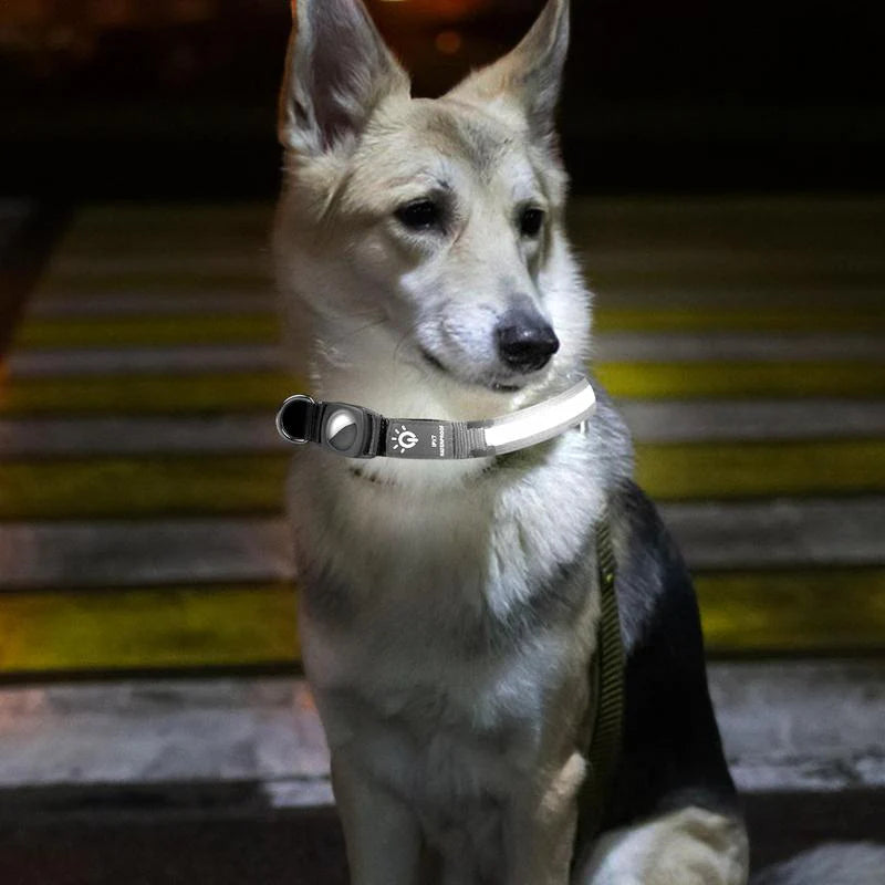 Lysande AirTag-halsband för Hund – Säkerhet och Synlighet i Mörker