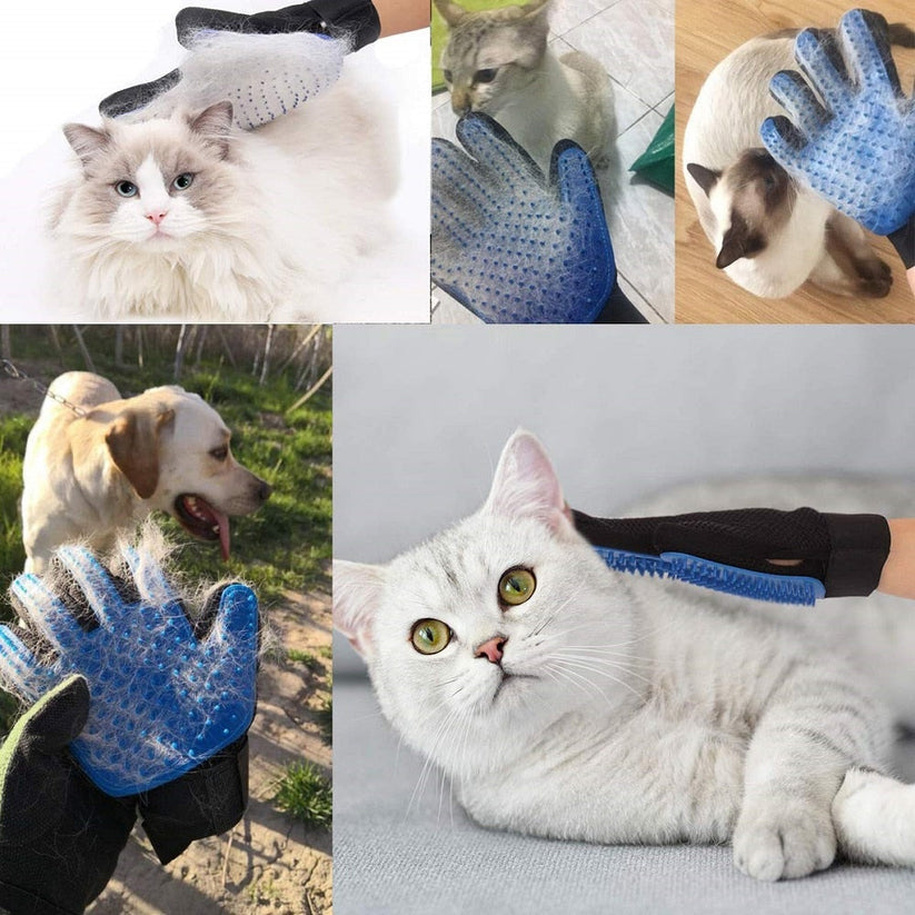 Pälshandske för Hund och Katt – Enkel och Effektiv Pälsvård
