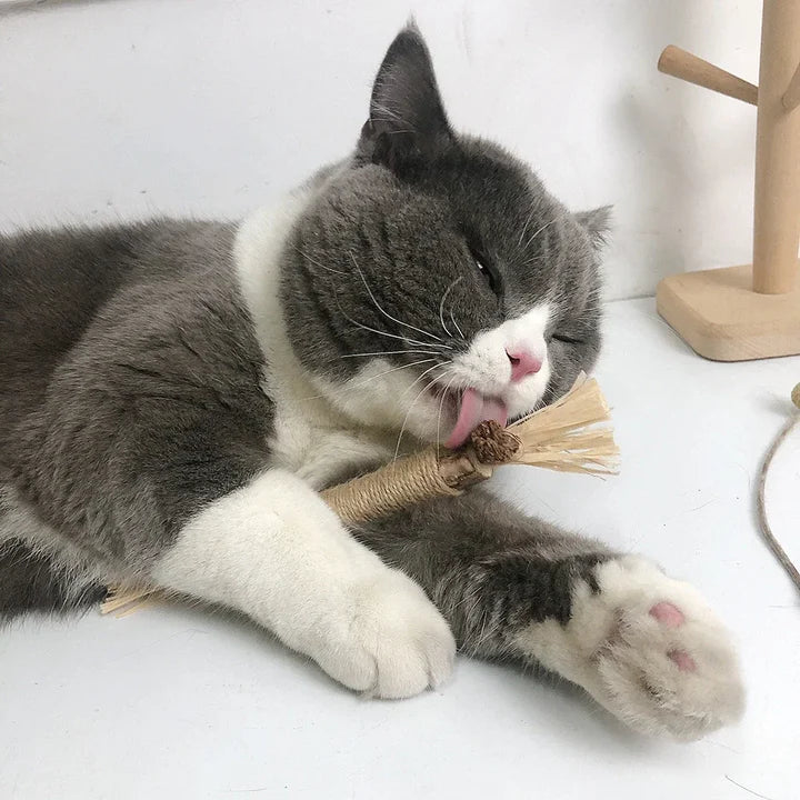 Naturlig Tandvårdsleksak för Katt – Stimulerar Lek & Främjar Munhälsa