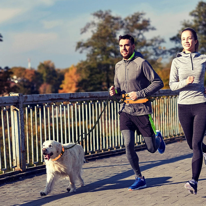 Flexibelt hundkoppel med midjeväska – justerbar och reflexdetaljer