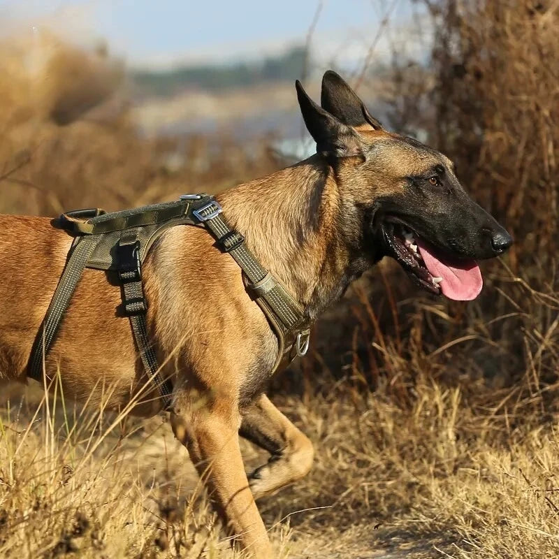 Dragsele med anti-dragfunktion och reflekterande säkerhet för hund