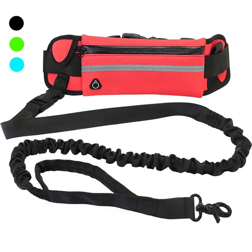 Flexibelt hundkoppel med midjeväska – justerbar och reflexdetaljer