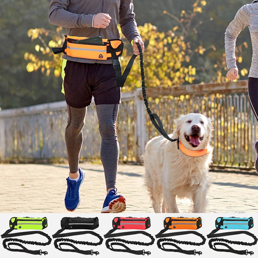 Flexibelt hundkoppel med midjeväska – justerbar och reflexdetaljer