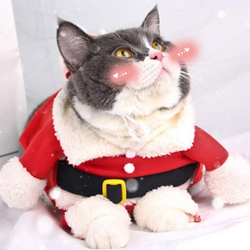Juldräkt för Katt & Liten Hund
