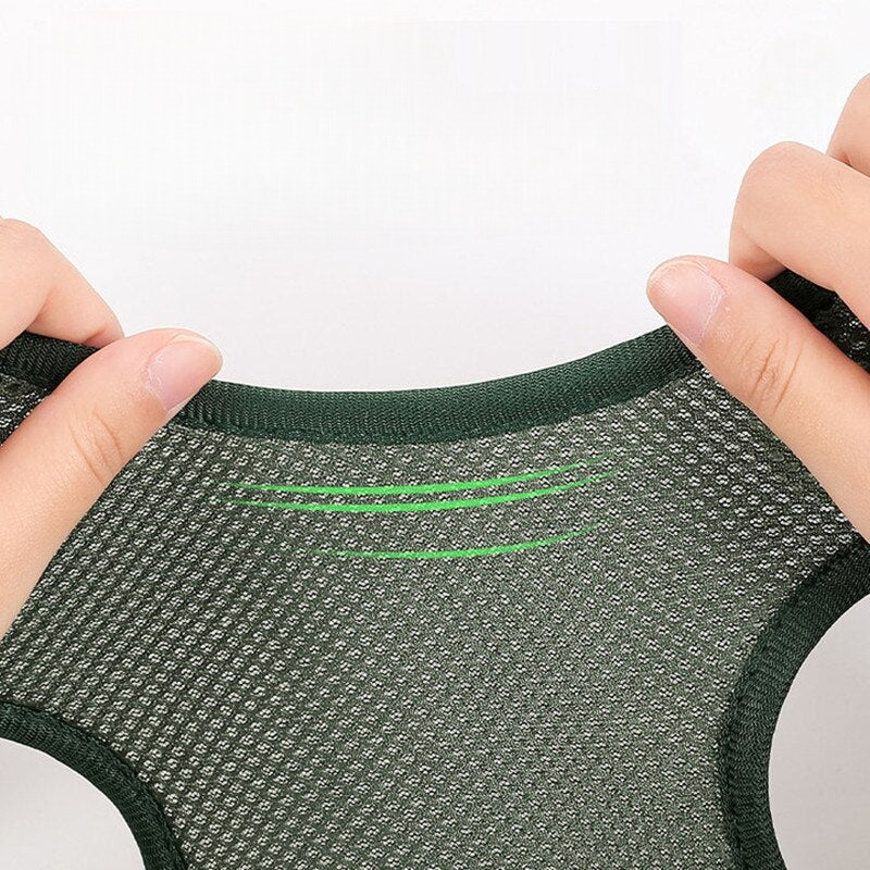 Grooming Hängsele för Husdjur – Justerbar & Bekväm för Klovård och Borstning