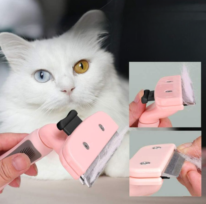 Effektiv fällskrapa för hund och katt – enkel pälsvård