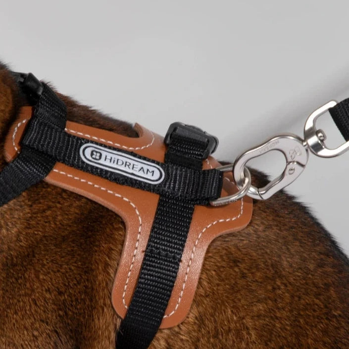 Ergonomisk kattsele med justerbar passform och rymningssäker design – lätt och slitstark