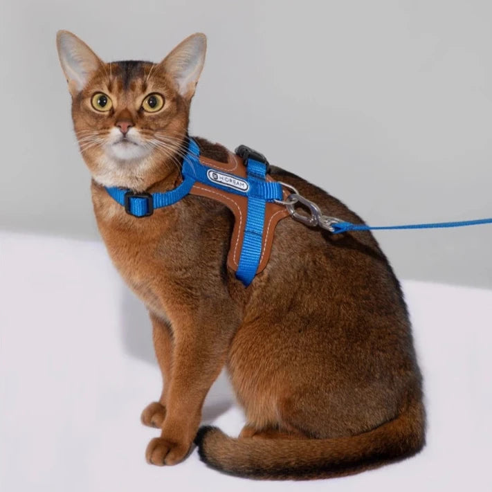 Ergonomisk kattsele med justerbar passform och rymningssäker design – lätt och slitstark