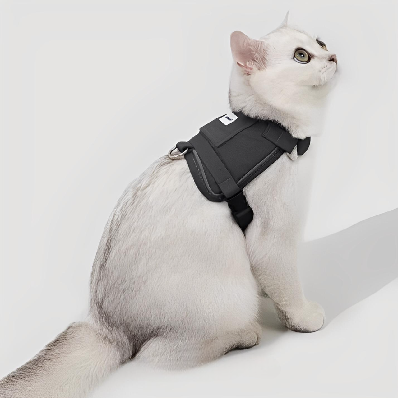 Kattsele med Justerbar Passform och GPS-fack, One Size