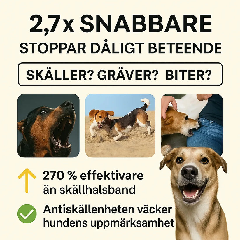 Ultraljud Antiskällenhet för Hund – Effektiv & Skonsam Mot Skällande