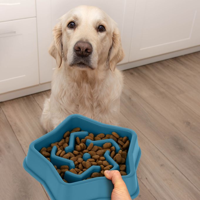 Smart Slowfeeder för Hund – Motverkar Snabbätning och Främjar Hälsa