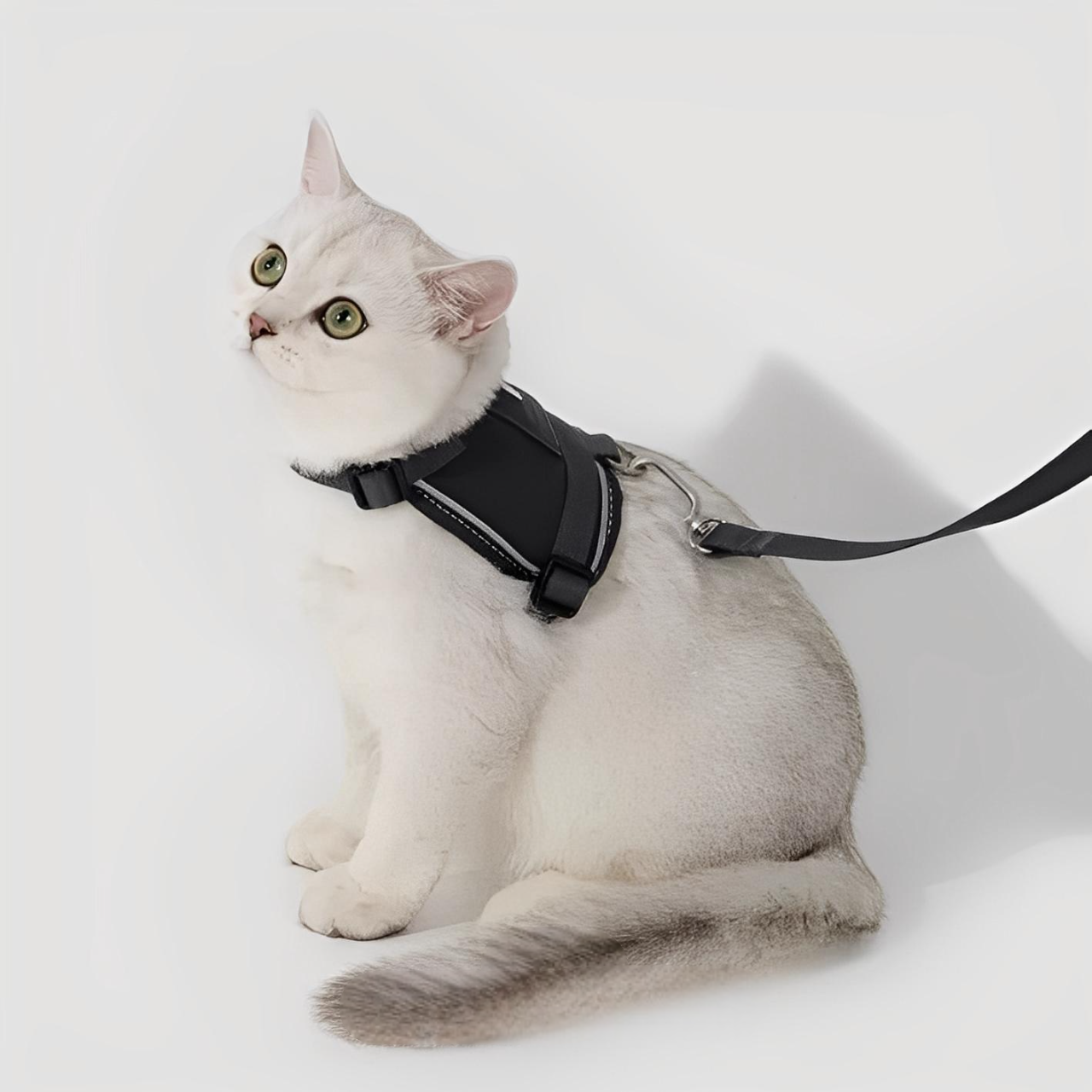 Kattsele med Justerbar Passform och GPS-fack, One Size