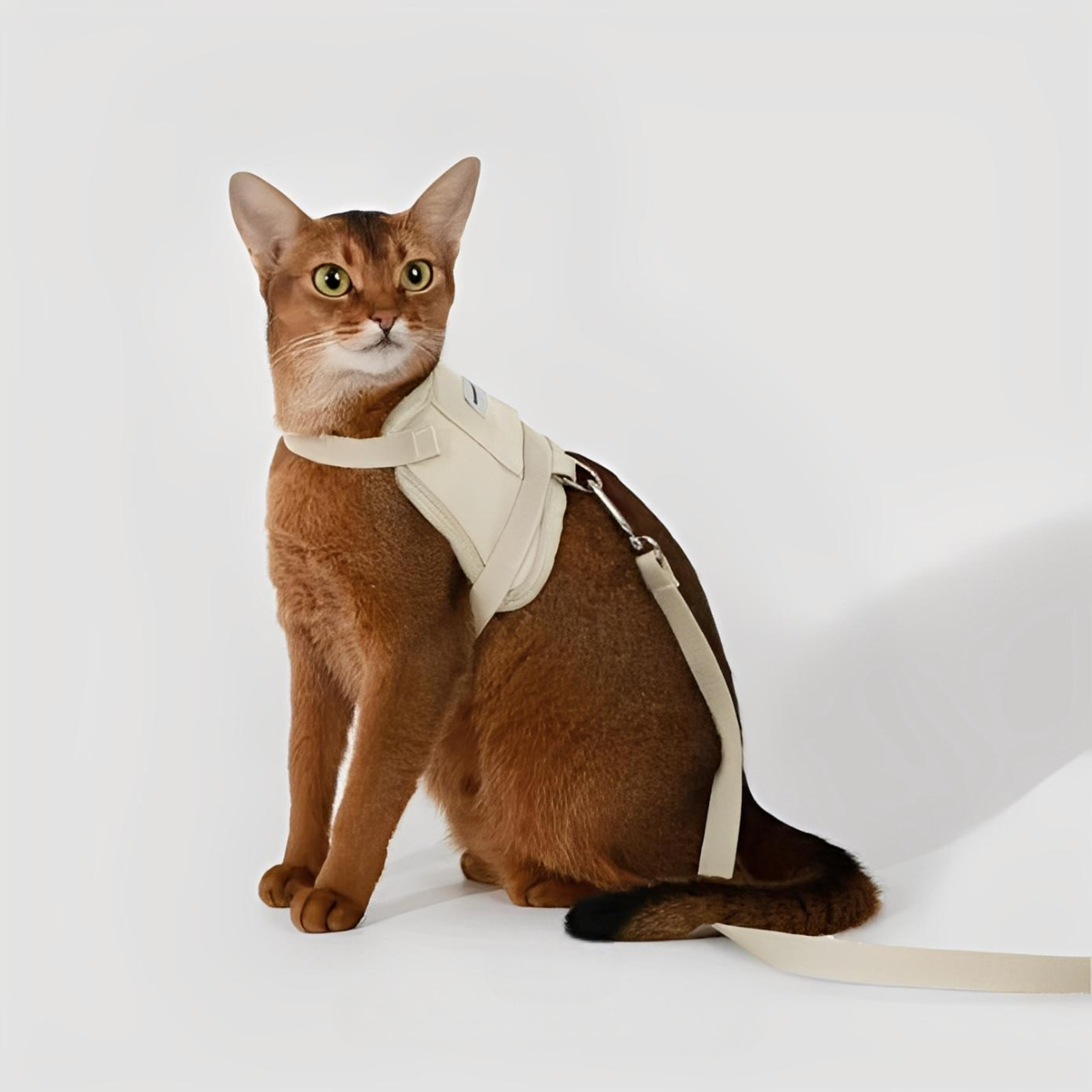 Kattsele med Justerbar Passform och GPS-fack, One Size