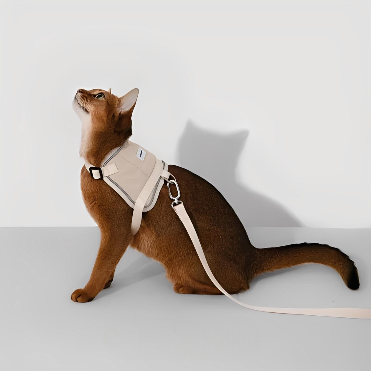 Kattsele med Justerbar Passform och GPS-fack, One Size