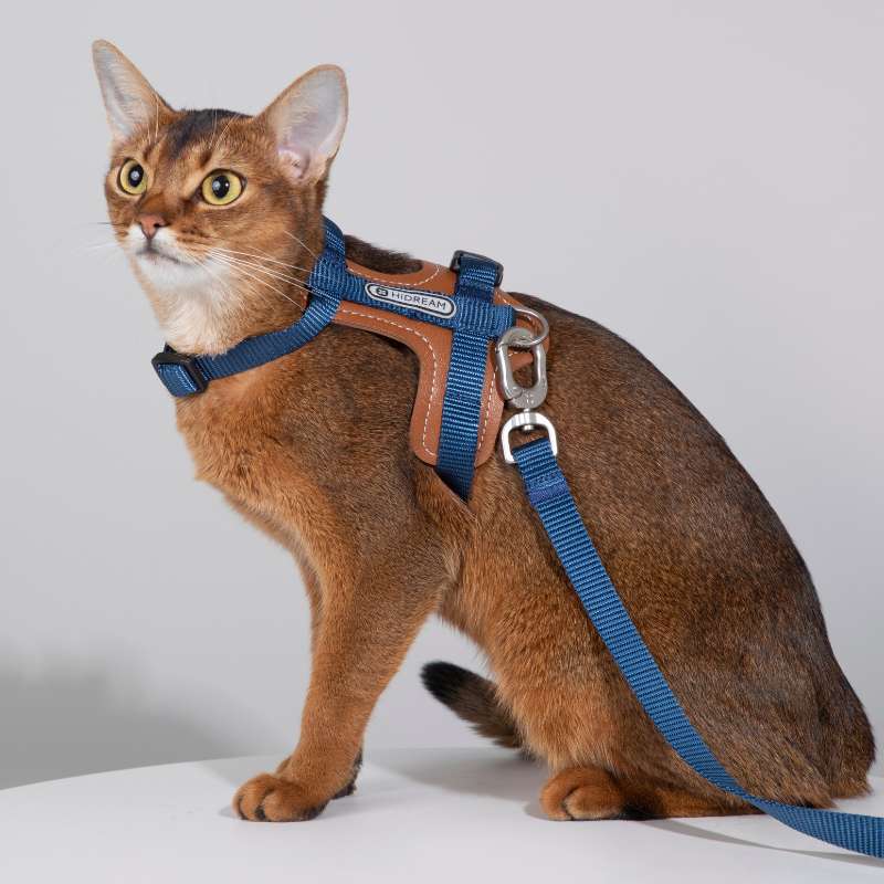 HiDream kattsele med justerbar passform och rymningssäker design – lätt och slitstark