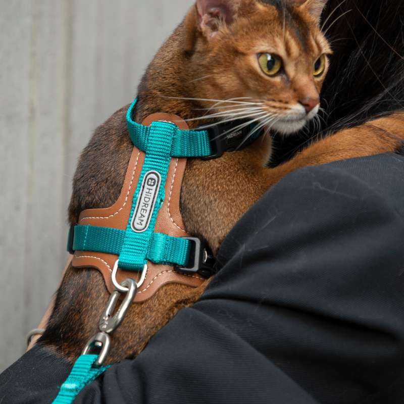 HiDream kattsele med justerbar passform och rymningssäker design – lätt och slitstark