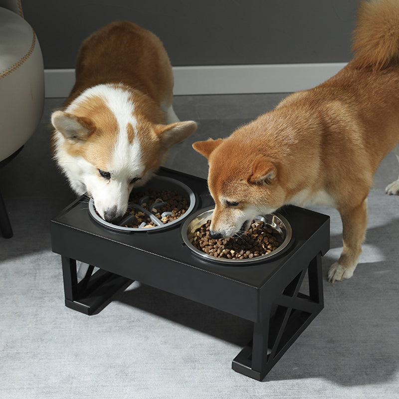 Justerbar Upphöjd Matskål för Hund & Katt – Lutningsbar & Slow Feeder