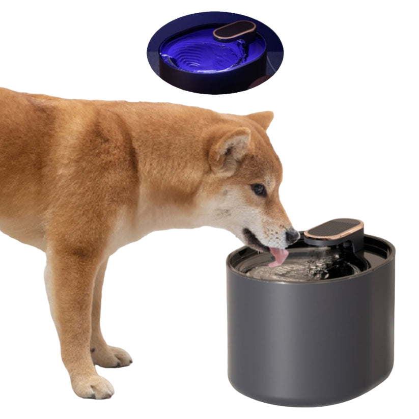 Hundfontän 3L – Tyst & Stilren Vattenautomat Med LED & USB-anslutning