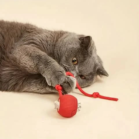 Spinball kattleksak, aktiverar jaktinstinkter - Röd