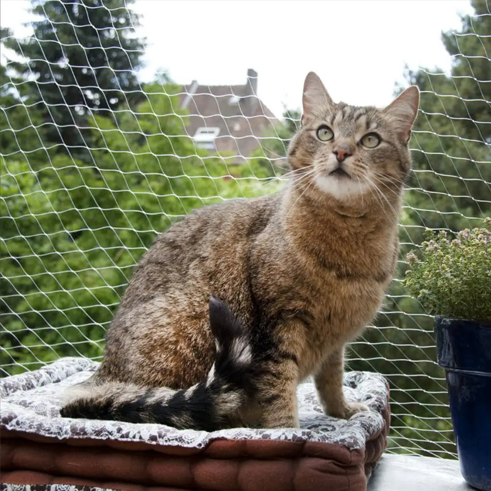 Kattnät för Balkong och Fönster – Säkerhet och Frihet för Din Katt