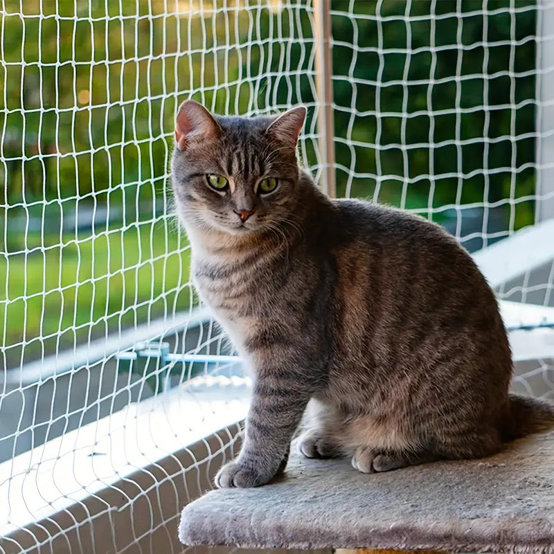 Kattnät för Balkong och Fönster – Säkerhet och Frihet för Din Katt