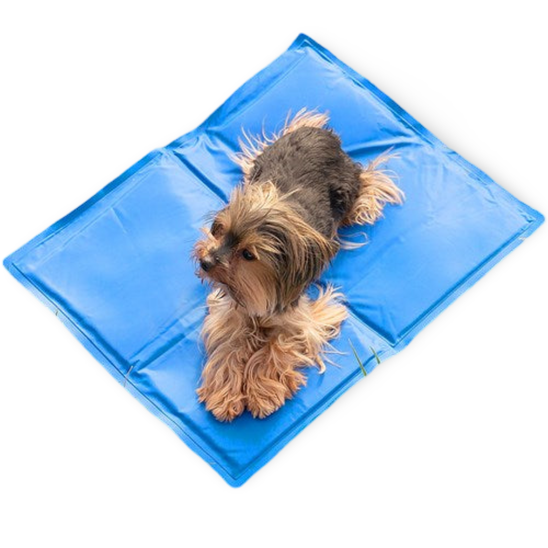 Kylmatta för Hund & Katt – Svalka utan El, Bärbar och Enkel att Rengöra