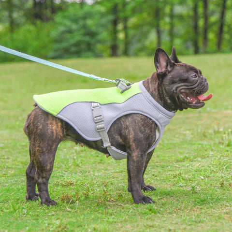 Kylväst för Hund – Justerbar, Reflekterande & Effektiv Kyla vid Värme