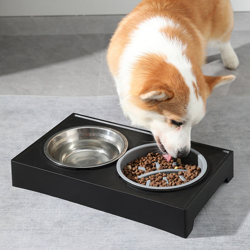 Justerbar Upphöjd Matskål för Hund & Katt – Lutningsbar & Slow Feeder