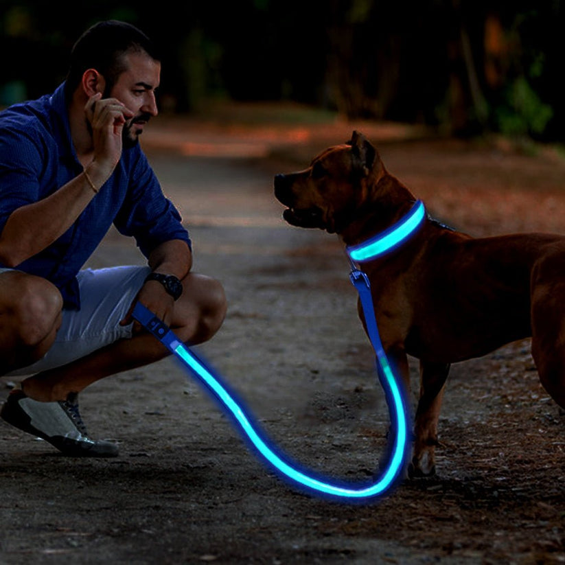 Uppladdningsbart LED-koppel – säker promenad i mörker, 1.2M