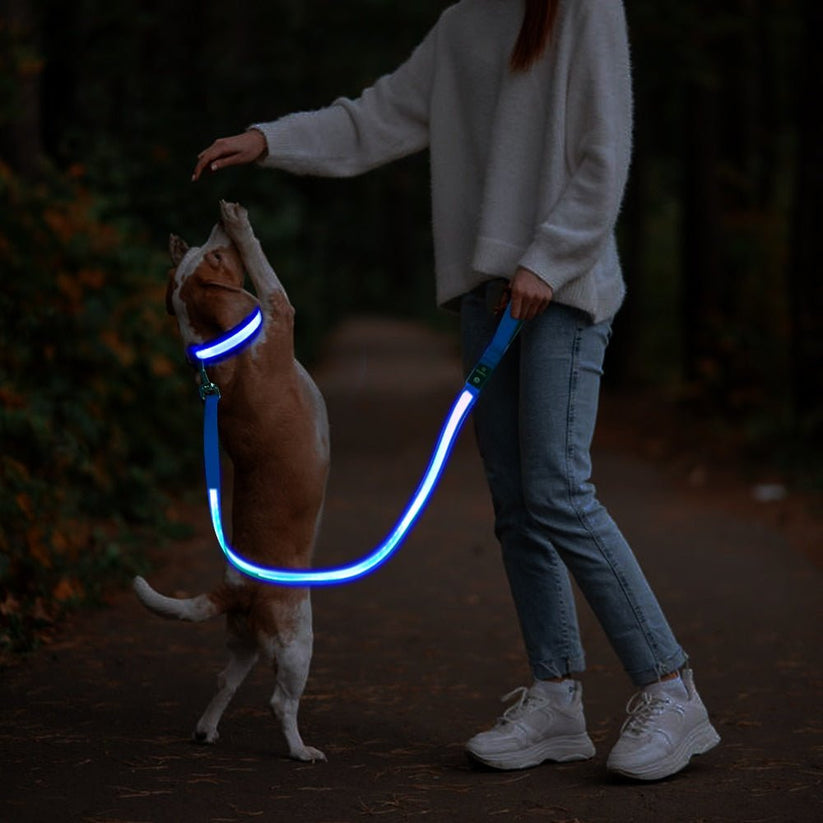 Uppladdningsbart LED-koppel – säker promenad i mörker, 1.2M