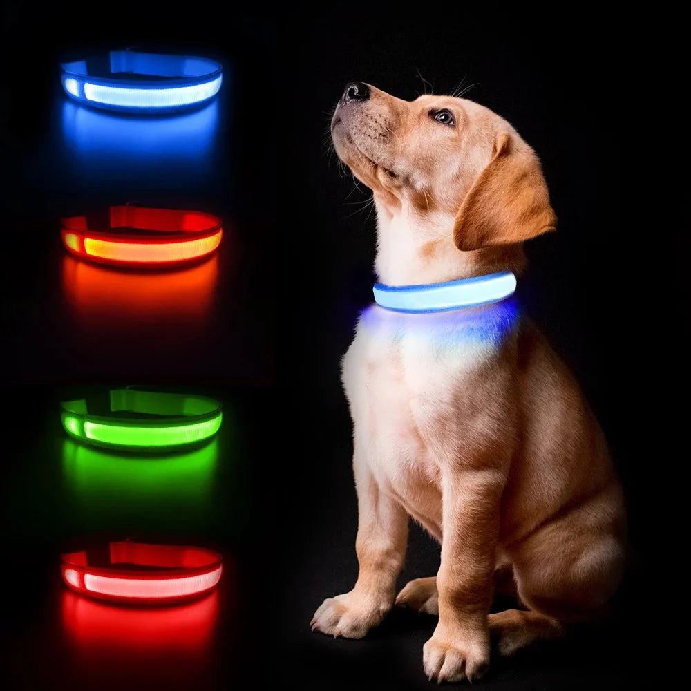LED-halsband för hund och katt – uppladdningsbart och synligt i mörker upp till 500 m