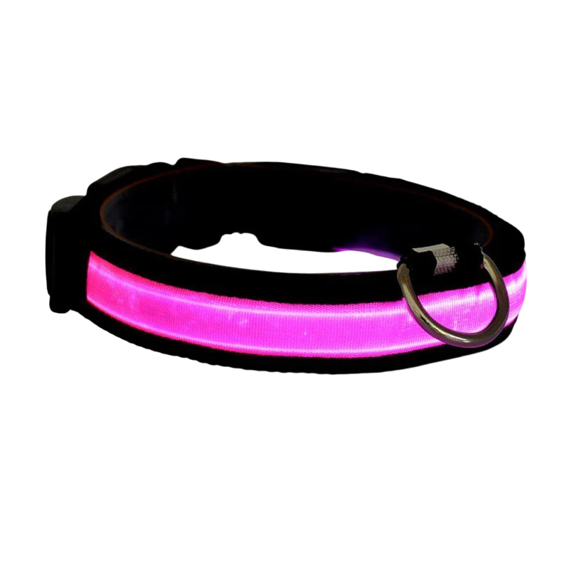 LED-halsband för hund och katt – uppladdningsbart och synligt i mörker upp till 500 m