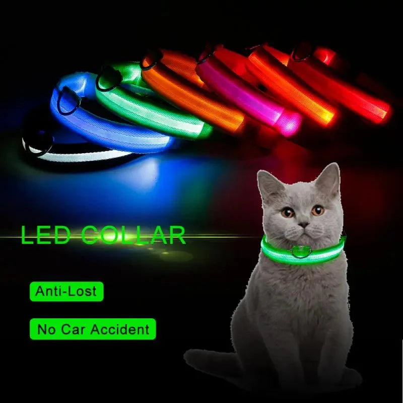 LED-halsband för hund och katt – uppladdningsbart och synligt i mörker upp till 500 m